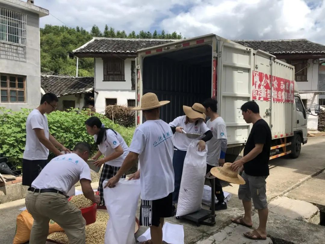 保價收購貧困戶白蓮2